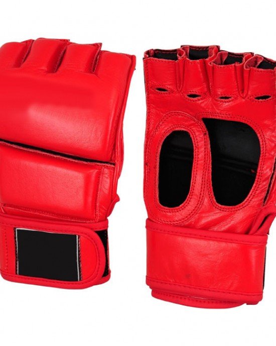 MMA Gloves