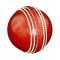 Cricket Ball