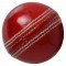 Cricket Ball